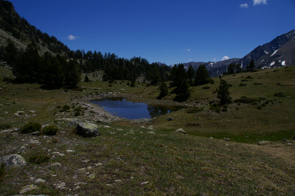 Un laquet au Sud-Est du lac d'Aumar