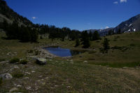 Un laquet au Sud-Est du lac d'Aumar