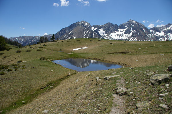 Un laquet au Sud-Est du lac d'Aumar