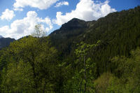 Le pic d'Anglade depuis le bois de Prade de Camou