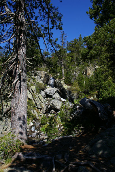 Petite cascade du ruisseau descendant des Laquettes