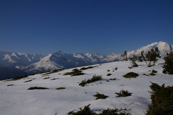 Le Pic du Midi d'Arrens, le Balaitous et les Gabizos depuis le Soc