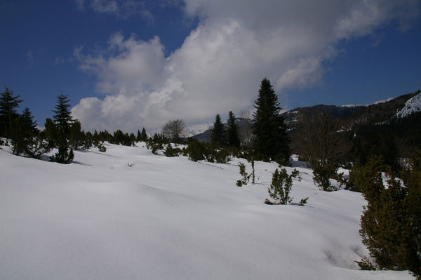 Sous le Soc en direction du Col de Coraduque