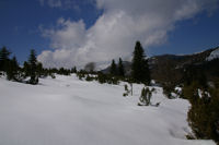 Sous le Soc en direction du Col de Coraduque