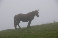 Pointe de Surgatte