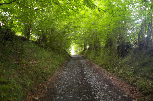 Le chemin ombrag de la Reine Hortense