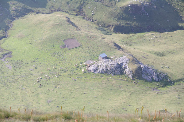 Une cabane de berger  Peyre Nre