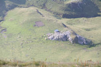 Une cabane de berger a Peyre Nere