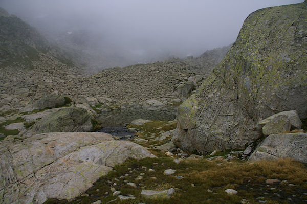 Un petit laquet sous les crtes d'Espade dans la brume