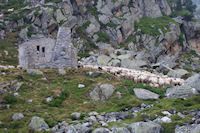 Des moutons rassemble devant la grange au dessus du Lac de la Glere