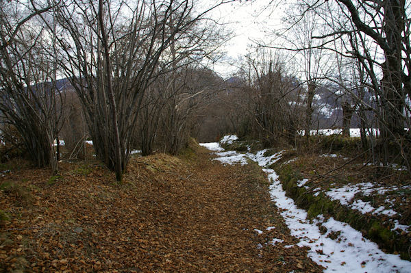 Le chemin descendant au Quartier Bretou