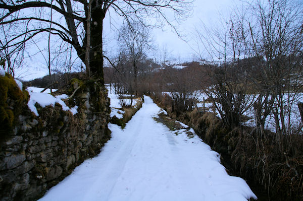 Le chemin au dessus du ruisseau de Caubre prs de la grange Gite Pr