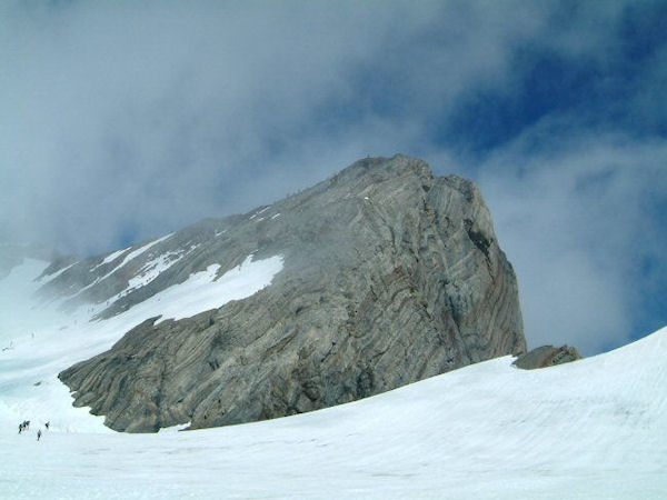 La Pique Longue