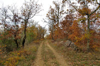 Le chemin menant vers le Pech de la Barre