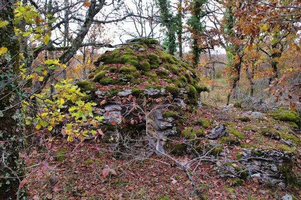 Une cazelle en descendant vers les Igues d_Aujols