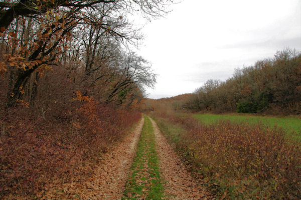 Le chemin vers Capy