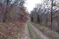 Le chemin vers Capy