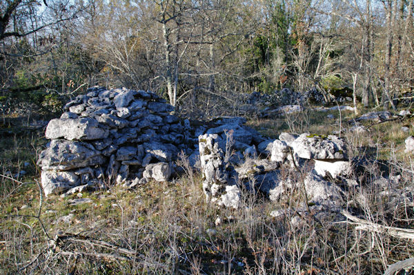 Une cazelle ruine vers l_Igue de Mont Fouillous