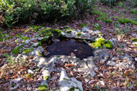 Une petit reservoir vers l'Igue de Mont Fouillous