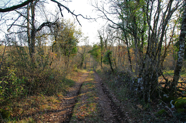 Le chemin vers le Roc Traucat