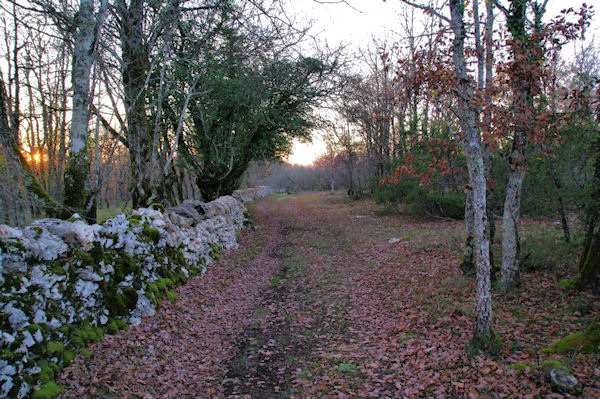 Vers la bergerie de Font du Pech