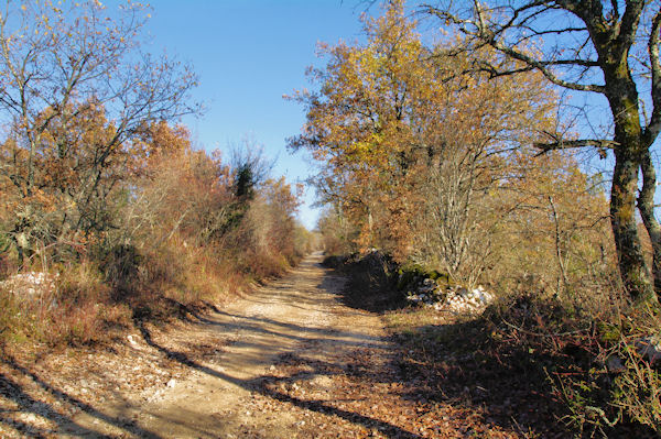 Le joli chemin remontant vers le Roc Traucat