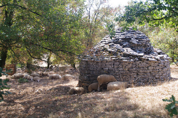 Une cazelle servant d_abri pour les moutons vers St Chels