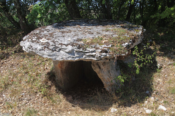 Un dolmen en arrivant sur la D17