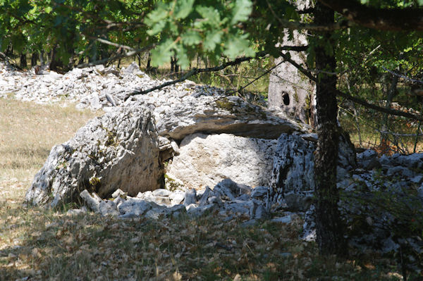 Un dolmen avec la table croule en descendant vers la Combe de Ravi