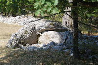Un dolmen avec la table ecroulee en descendant vers la Combe de Ravie
