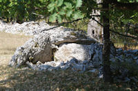 Un dolmen avec la table croule en descendant vers la Combe de Ravi