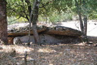 Un dolmen en descendant vers la Combe de Ravie