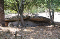 Un dolmen en descendant vers la Combe de Ravi