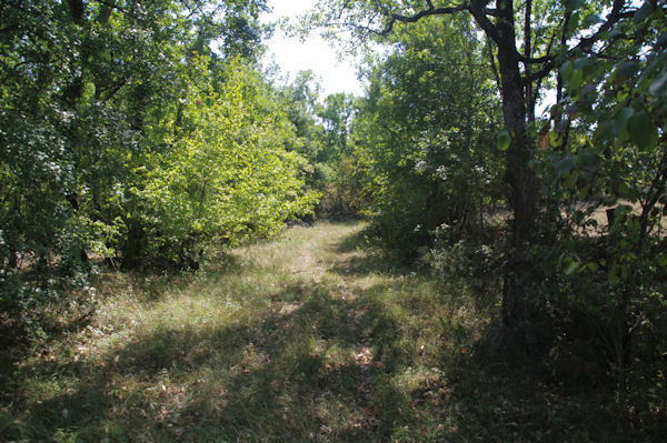 Le chemin en remontant vers la D17