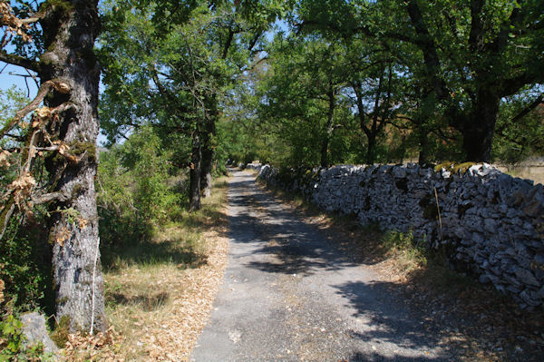 Le chemin vers Majourals