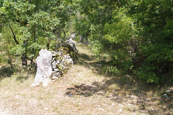 Le chemin sous le Pech de Fours