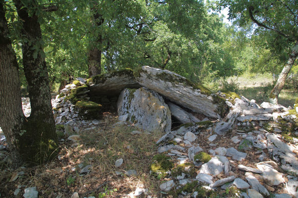 Un dolmen ecroul sous le Pech de Fours