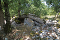 Un dolmen ecroule sous le Pech de Foures