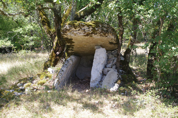 Le dolmen prs de Fours