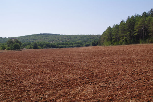 Effet de couleurs depuis la D83 en remontant vers La Borie Haute