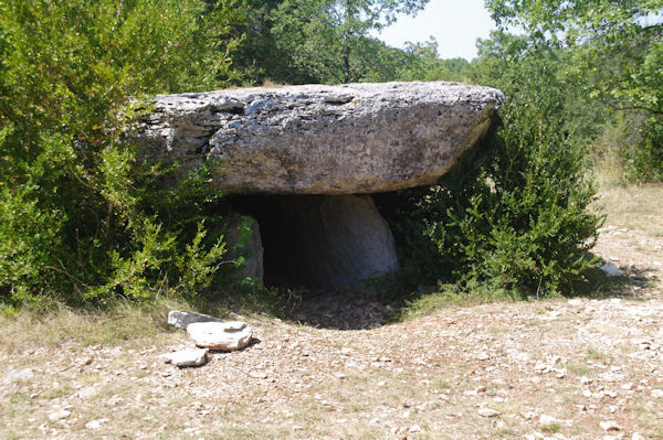 Le dolmen de la Borie Haute