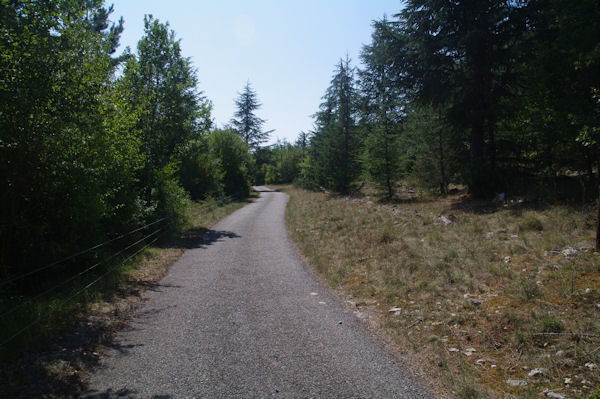 La route menant au Mas de Cornio