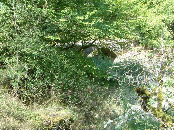 Pont sur l'Alzou