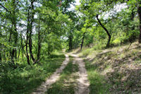 Le chemin vers Bouyges