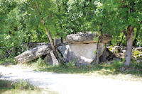 Le dolmen de la Borie Rouge