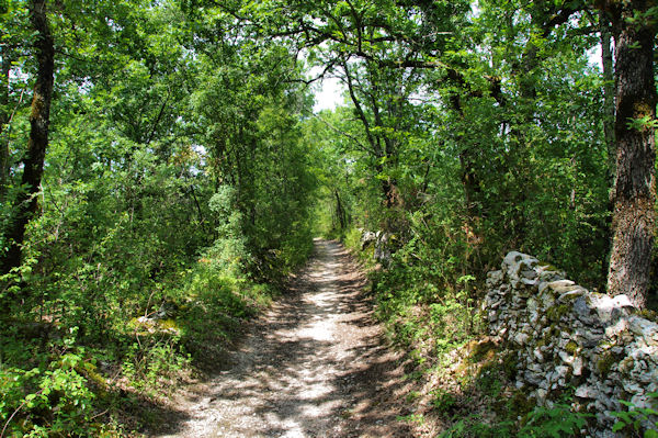 Le chemin vers Catouret