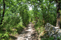 Le chemin vers Catouret