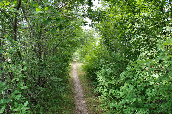 Le chemin vers Nouel