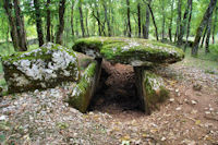 Les dolmens de Laramire