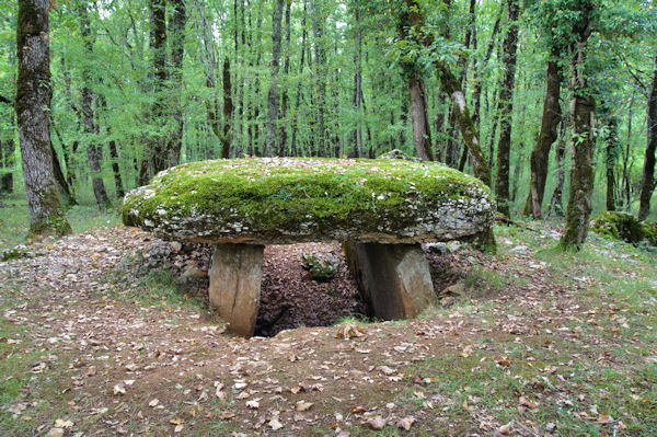 Le dolmen de Marcigaliet